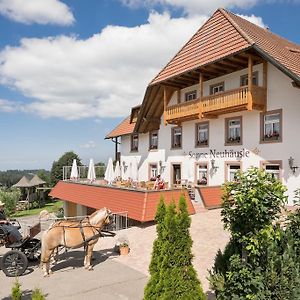Gasthaus Sonne Neuhaeusle